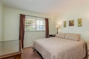 936 Virginia St, Dunedin, FL 34698 - Photo 14