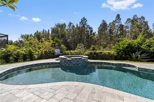 30362 Ceasar Park Dr, Wesley Chapel, FL 33543 - Photo 36