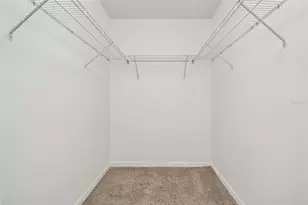 18530 Strombury Drive, Land O Lakes, FL 34638 - Photo 22