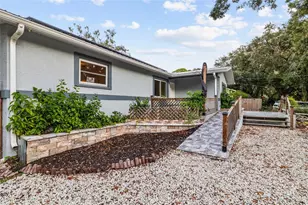 3087 Duane Ave, Oldsmar, FL 34677 - Photo 8