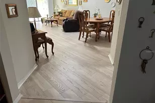 428 Seneca Falls Dr, Apollo Beach, FL 33572 - Photo 6