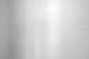 215 Corkwood Ln, Oldsmar, FL 34677 - Photo 50