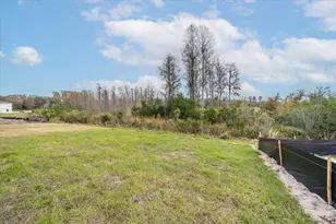 10928 Osprey Glade Ter, Land O Lakes, FL 34638 - Photo 34