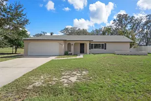10352 Brentlawn St, Spring Hill, FL 34608 - Photo 1