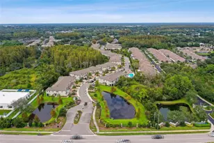 10012 Corso Milano Dr, Tampa, FL 33625 - Photo 64