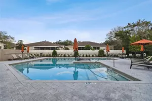 10012 Corso Milano Dr, Tampa, FL 33625 - Photo 56