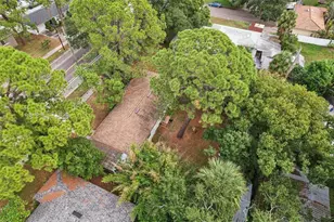 4216 W Euclid Ave, Tampa, FL 33629 - Photo 26