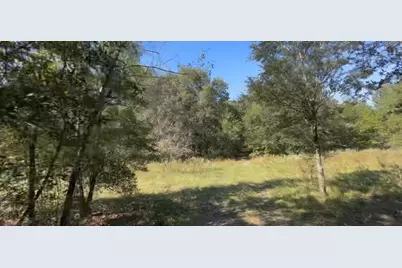 2309 Garfield Street, Inverness, FL 34453 - Photo 12