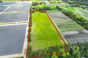 8711 State Rd 674, Wimauma, FL 33598 - Photo 1