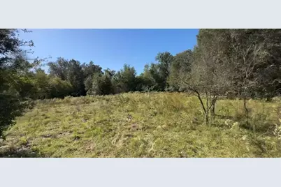 2307 Garfield Street, Inverness, FL 34453 - Photo 6