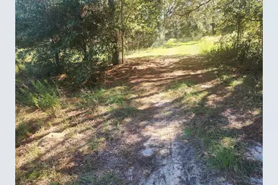 2307 Garfield Street, Inverness, FL 34453 - Photo 20