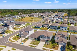 156 Rose Bud Ln, Spring Hill, FL 34609 - Photo 48