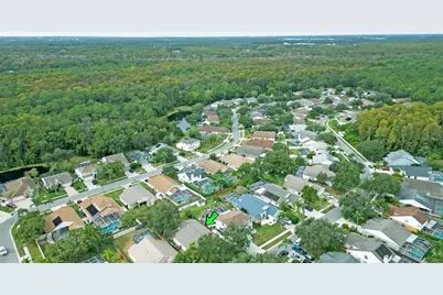 4768 Ridgemoor Circle, Palm Harbor, FL 34685 - Photo 38