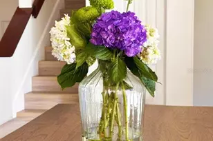 4005 Dellbrook Dr, Tampa, FL 33624 - Photo 10