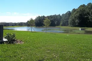 20014 Date Palm Way, Tampa, FL 33647 - Photo 2