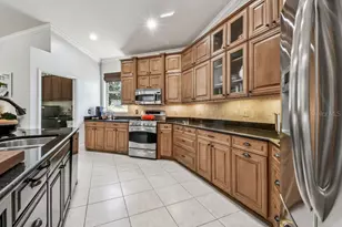 19204 Wind Dancer St, Lutz, FL 33558 - Photo 6