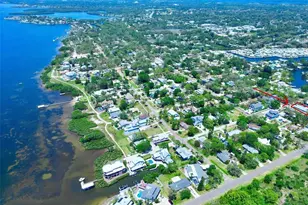407 Georgia Ave, Crystal Beach, FL 34681 - Photo 2