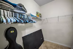 6942 Rocky Canyon Way, Tampa, FL 33625 - Photo 56