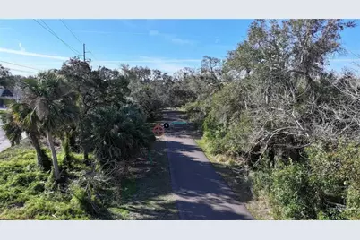 1551 McAuliffe Lane, Palm Harbor, FL 34683 - Photo 52