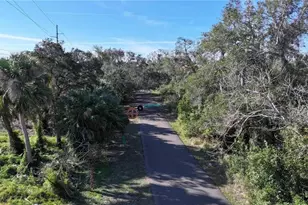 1551 McAuliffe Ln, Palm Harbor, FL 34683 - Photo 52