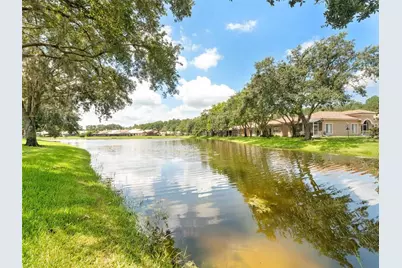 3876 Timber Ridge Court, Palm Harbor, FL 34685 - Photo 42