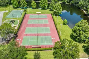 3876 Timber Ridge Ct, Palm Harbor, FL 34685 - Photo 56