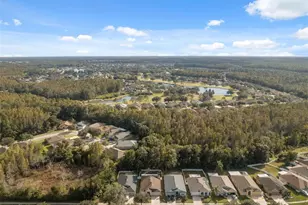 5903 War Admiral Dr, Wesley Chapel, FL 33544 - Photo 48