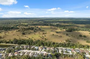 5903 War Admiral Dr, Wesley Chapel, FL 33544 - Photo 52