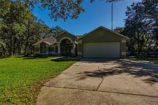 14214 Cinnaman Ln, Weeki Wachee, FL 34614 - Photo 4