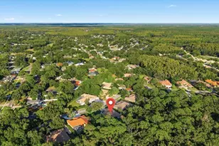 4954 Turtle Creek Trail, Oldsmar, FL 34677 - Photo 72