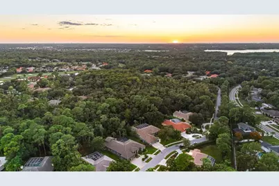 4954 Turtle Creek Trail, Oldsmar, FL 34677 - Photo 78