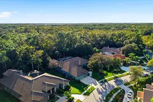 4954 Turtle Creek Trail, Oldsmar, FL 34677 - Photo 68