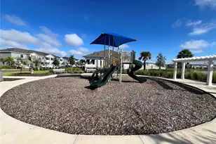 571 Mangrove Shade Cir, Apollo Beach, FL 33572 - Photo 24