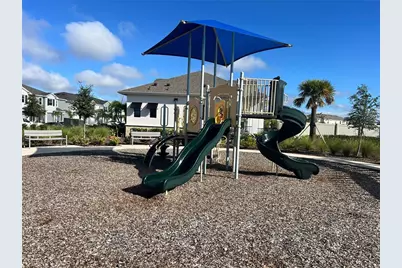 110 Mangrove Shade Circle, Apollo Beach, FL 33572 - Photo 34