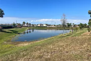 110 Mangrove Shade Cir, Apollo Beach, FL 33572 - Photo 12