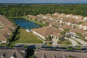 1231 Godavari Wy, Wesley Chapel, FL 33543 - Photo 32