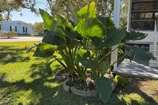 12160 Sara, Brooksville, FL 34613 - Photo 40