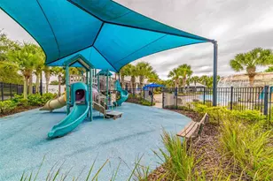 15731 Phoebepark Avenue, Lithia, FL 33547 - Photo 50