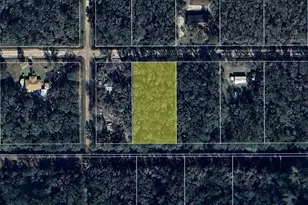 4572 Jonathan StHastingsFL 32145 - Photo 1