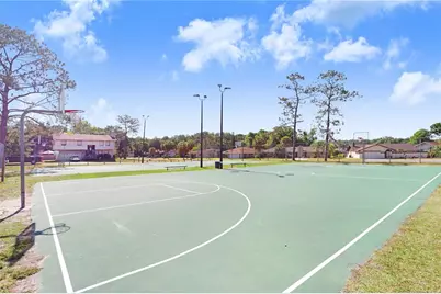 4925 Ivy Glen Place, Land O Lakes, FL 34639 - Photo 38