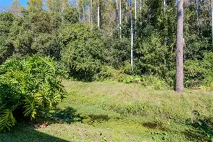 4127 Brentwood Park Cir, Tampa, FL 33624 - Photo 36