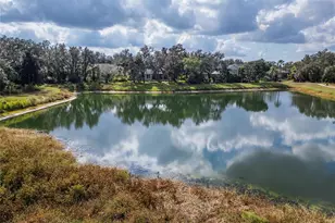 16022 Ternglade Dr, Lithia, FL 33547 - Photo 86