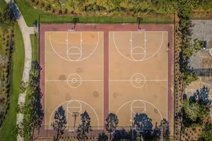 29038 Picana Ln, Wesley Chapel, FL 33543 - Photo 62