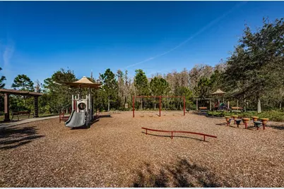 29038 Picana Lane, Wesley Chapel, FL 33543 - Photo 64