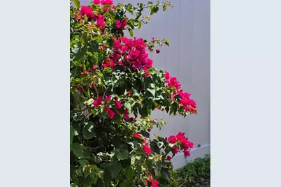 4880 Shell Stream Boulevard, New Port Richey, FL 34652 - Photo 54