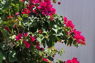 4880 Shell Stream Blvd, New Port Richey, FL 34652 - Photo 54