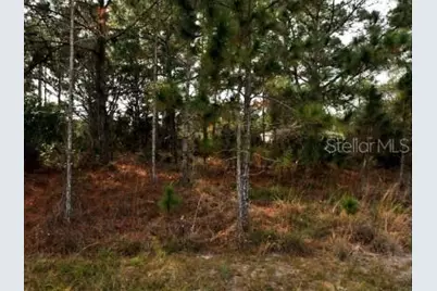 Lot 21 Bathfeld Road, North Port, FL 34291 - Photo 4