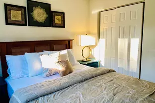 415 Mapleway, Safety Harbor, FL 34695 - Photo 28