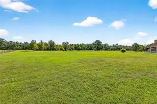 7316 Hackamore Rd, Zephyrhills, FL 33541 - Photo 74