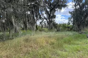 3721 Porter Rd, Lithia, FL 33547 - Photo 4